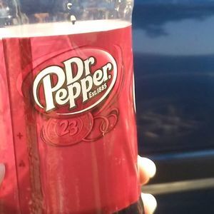 Meet your Posher, Ginger